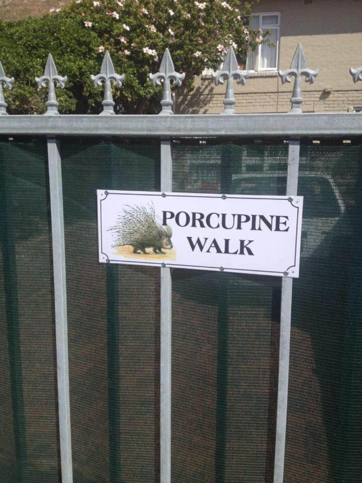 Porcupine Walk Simonʼs Town Exterior foto