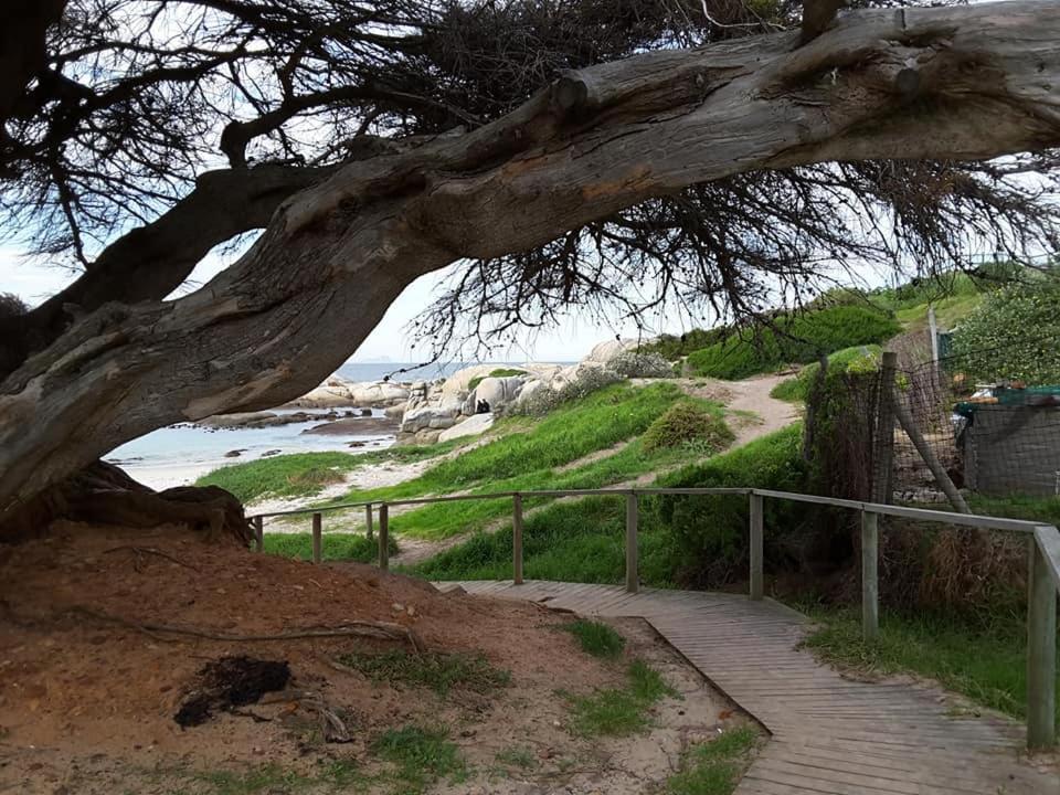 Porcupine Walk Simonʼs Town Exterior foto